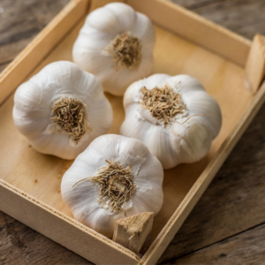 Fresh Garlic