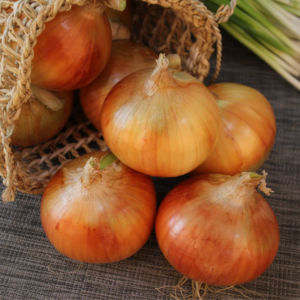 Red Onion